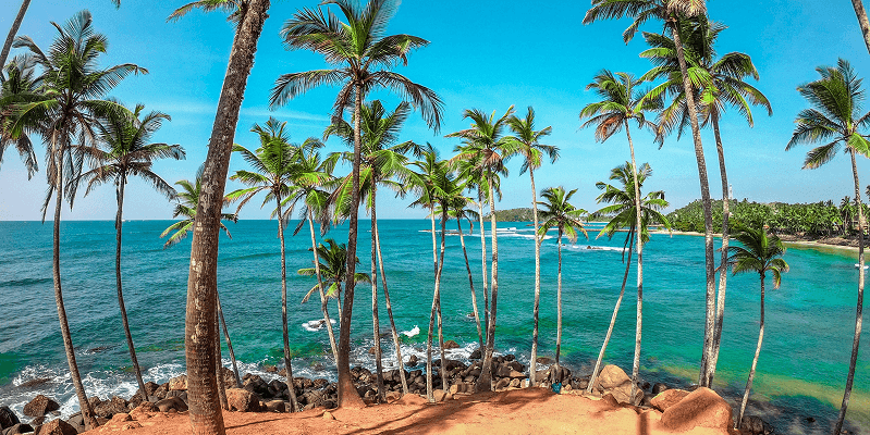 Sri Lanka eVisa Complete Guide: Requirements, Application, and Travel Tips