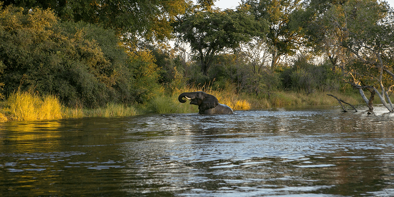 Zambia eVisa Complete Guide: Requirements, Application, and Travel Tips