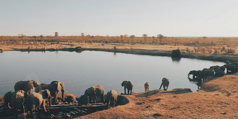 Zimbabwe eVisa Complete Guide: Requirements, Application, and Travel Tips