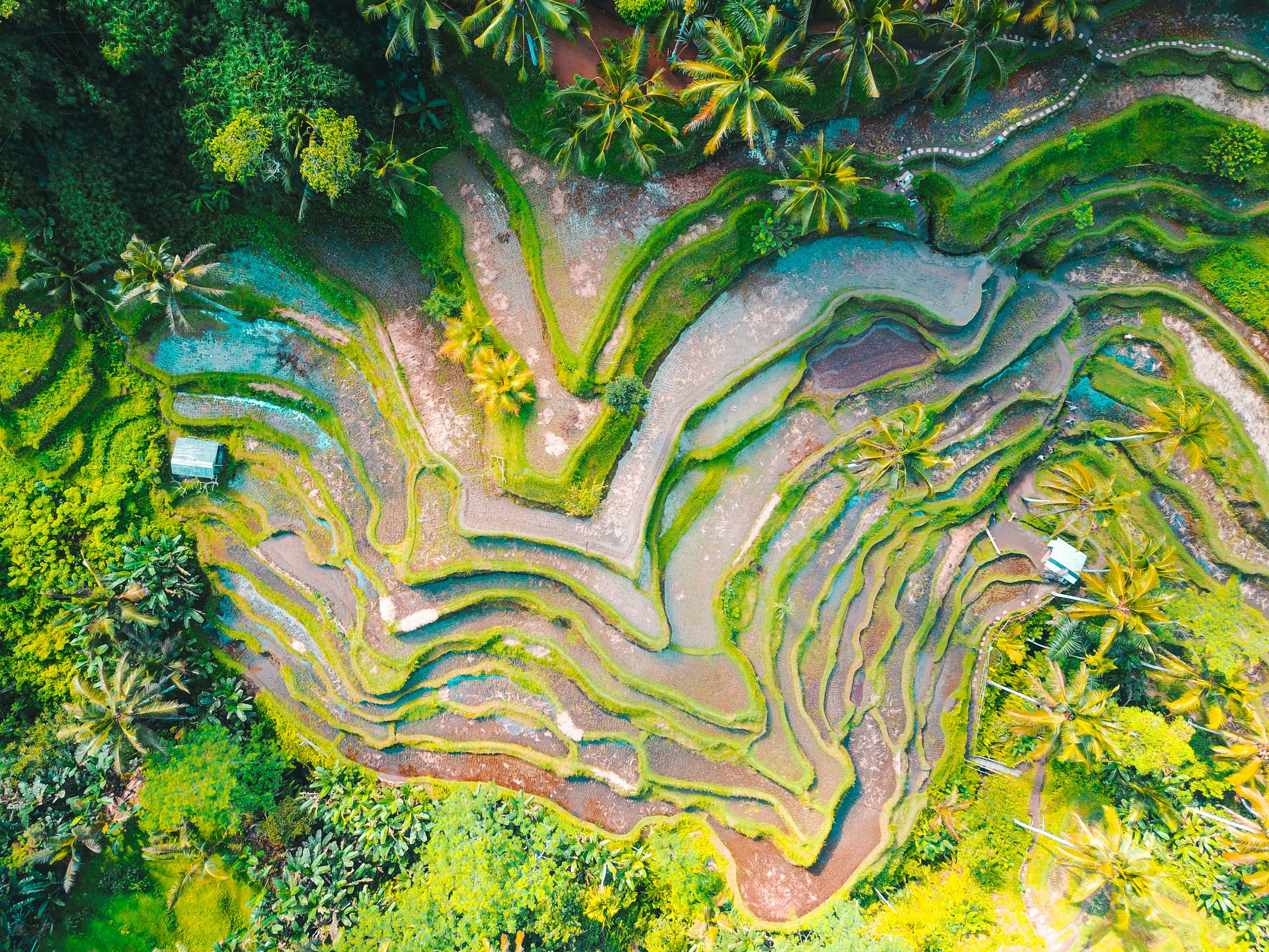 Beautiful scenic view of Indonesia - popular tourist destination for visa travelers