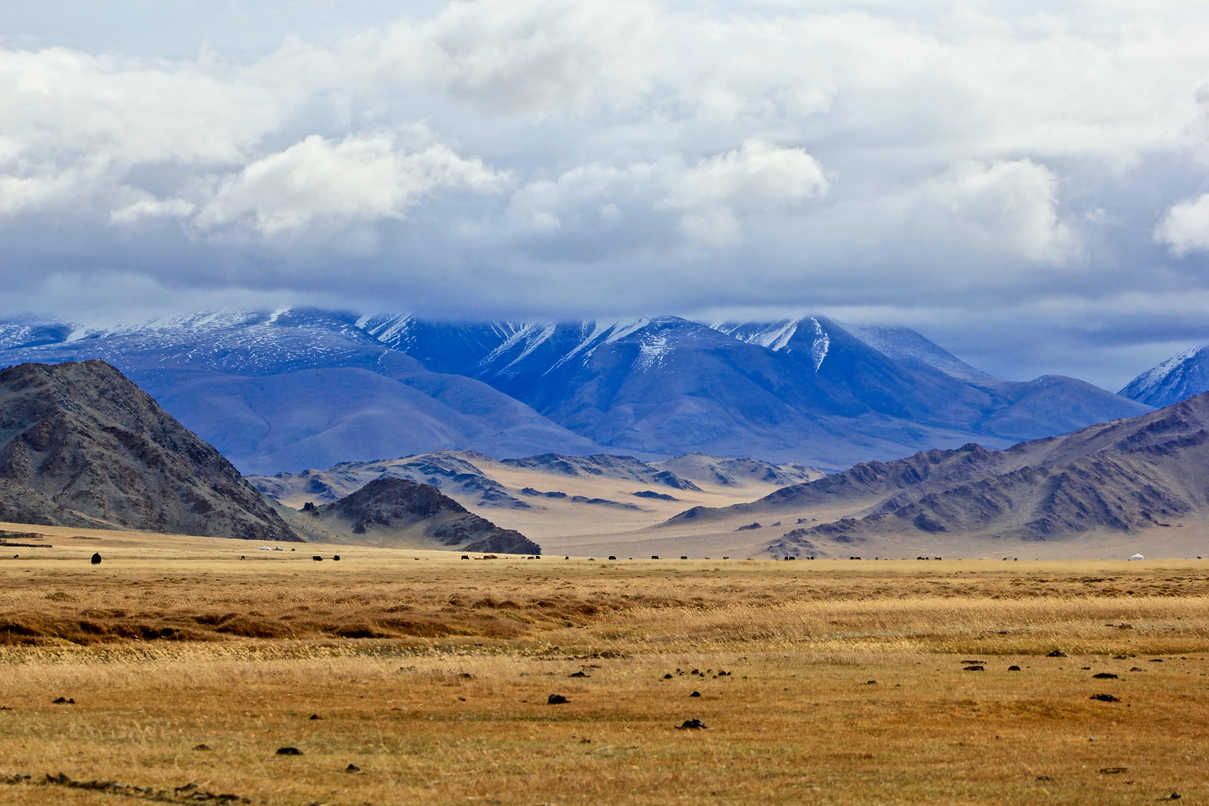 Beautiful scenic view of Mongolia - popular tourist destination for visa travelers