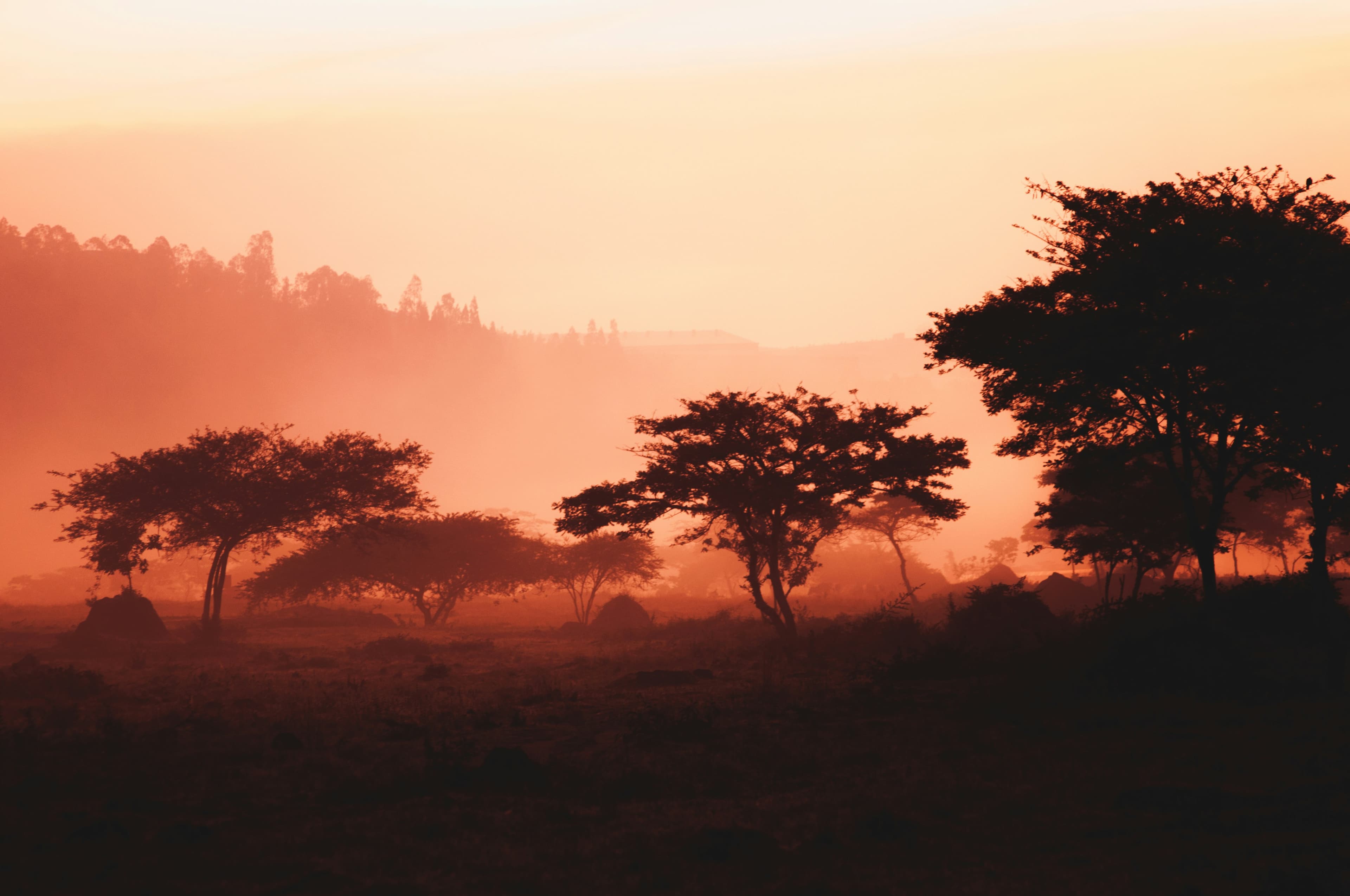 Beautiful scenic view of Rwanda - popular tourist destination for visa travelers