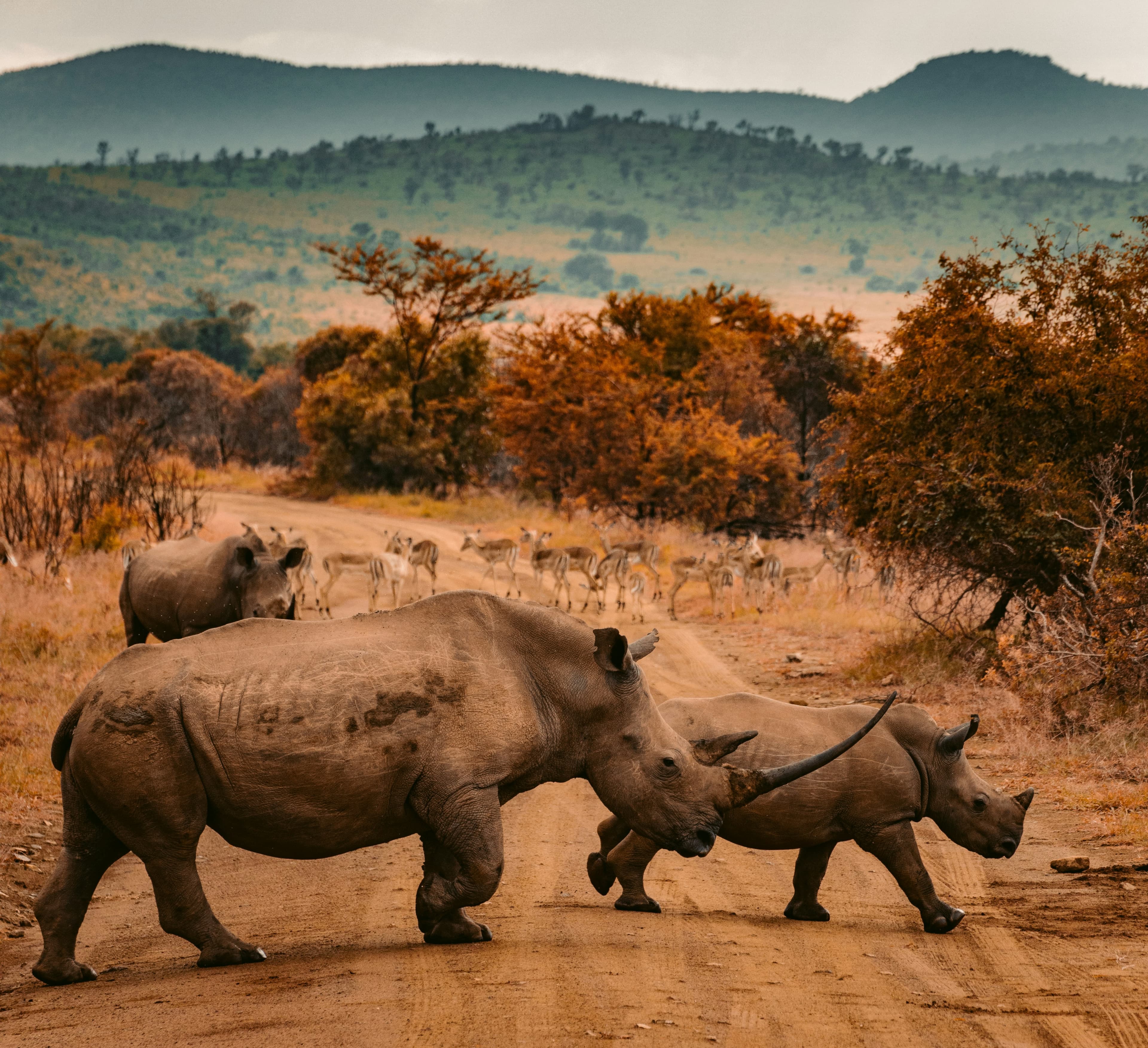 Beautiful scenic view of South Africa - popular tourist destination for visa travelers