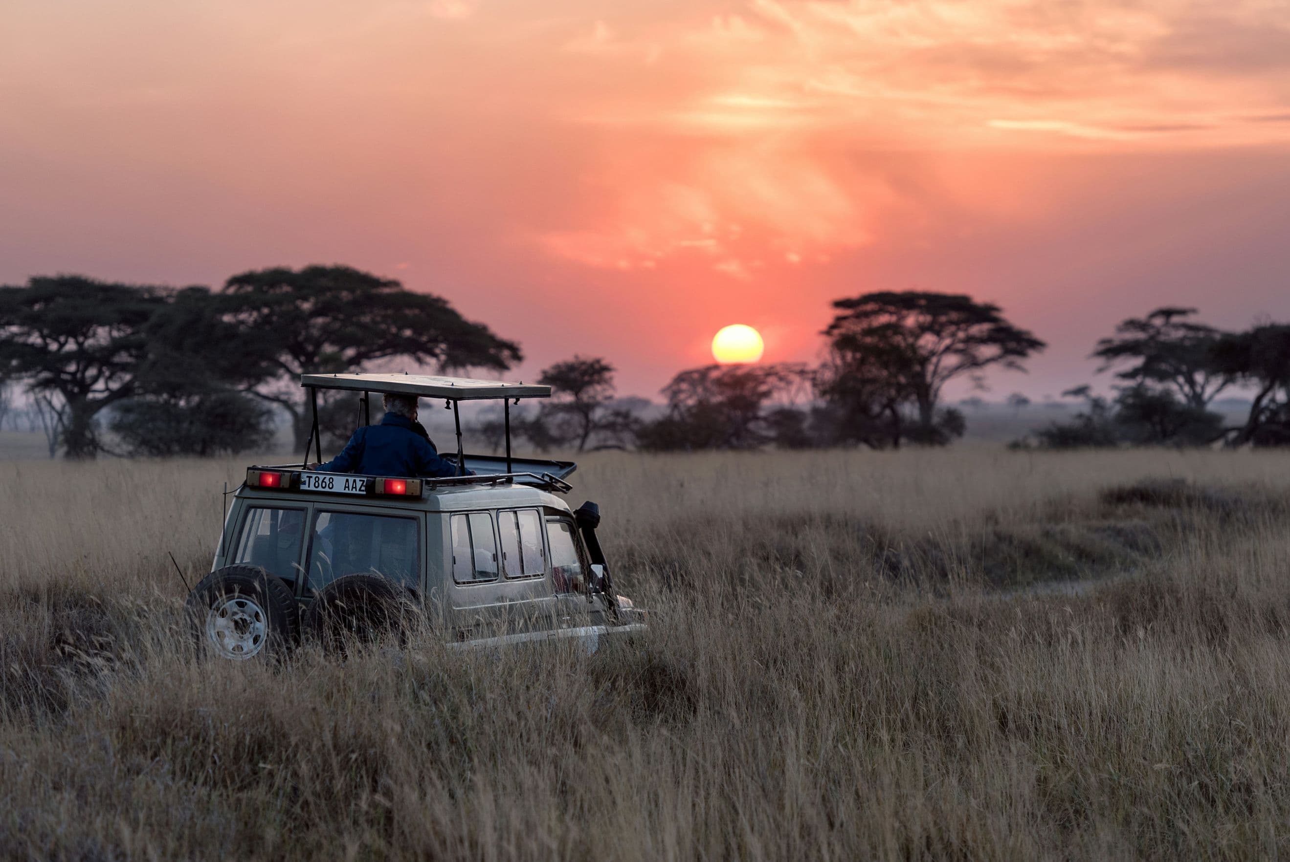 Tanzania Wildlife