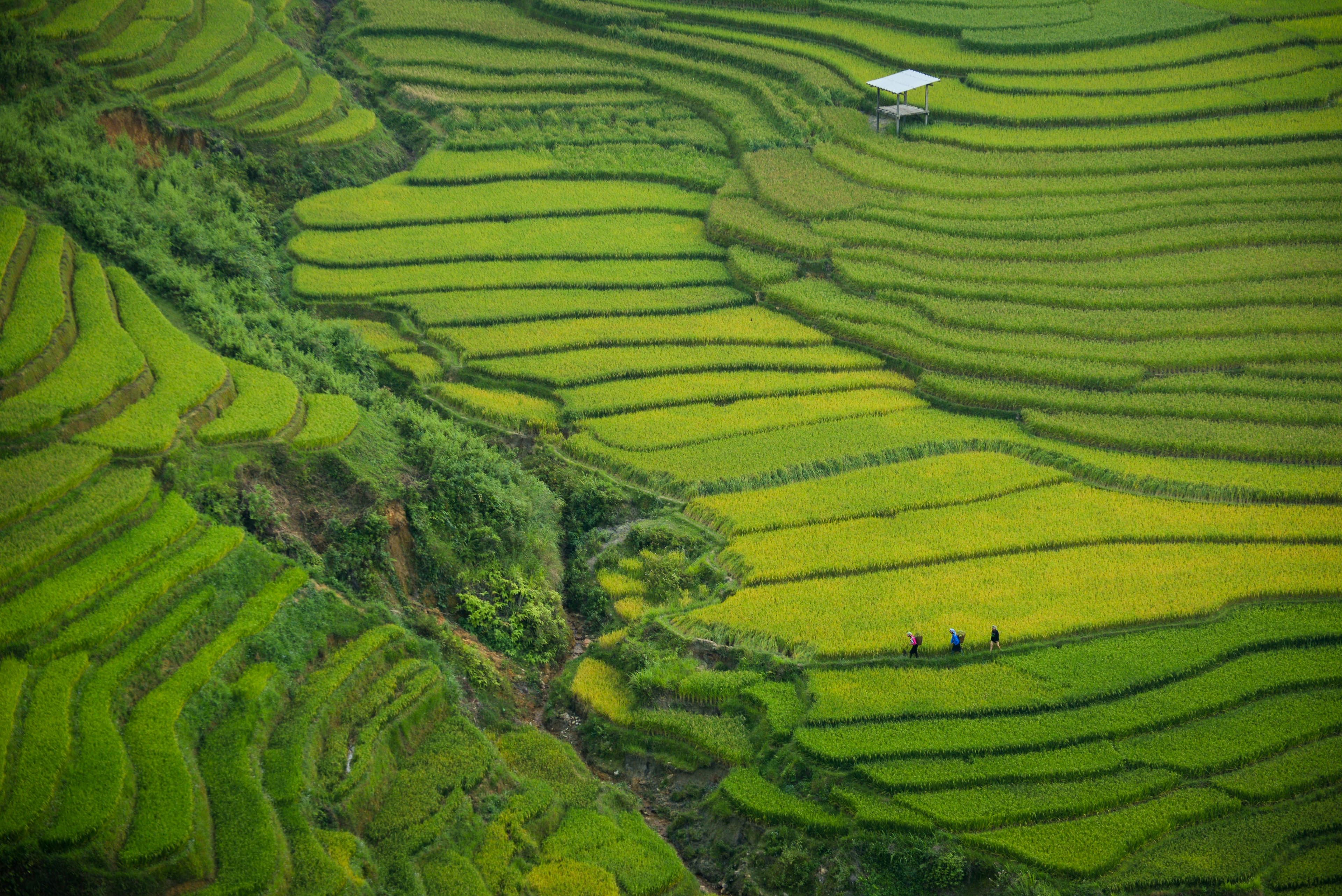 Beautiful scenic view of Vietnam - popular tourist destination for visa travelers